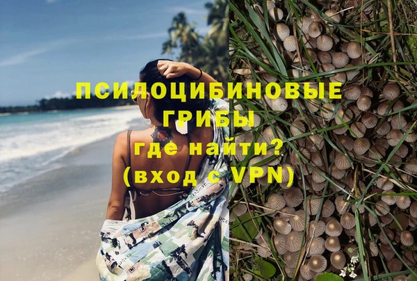 прущая мука Сосновоборск