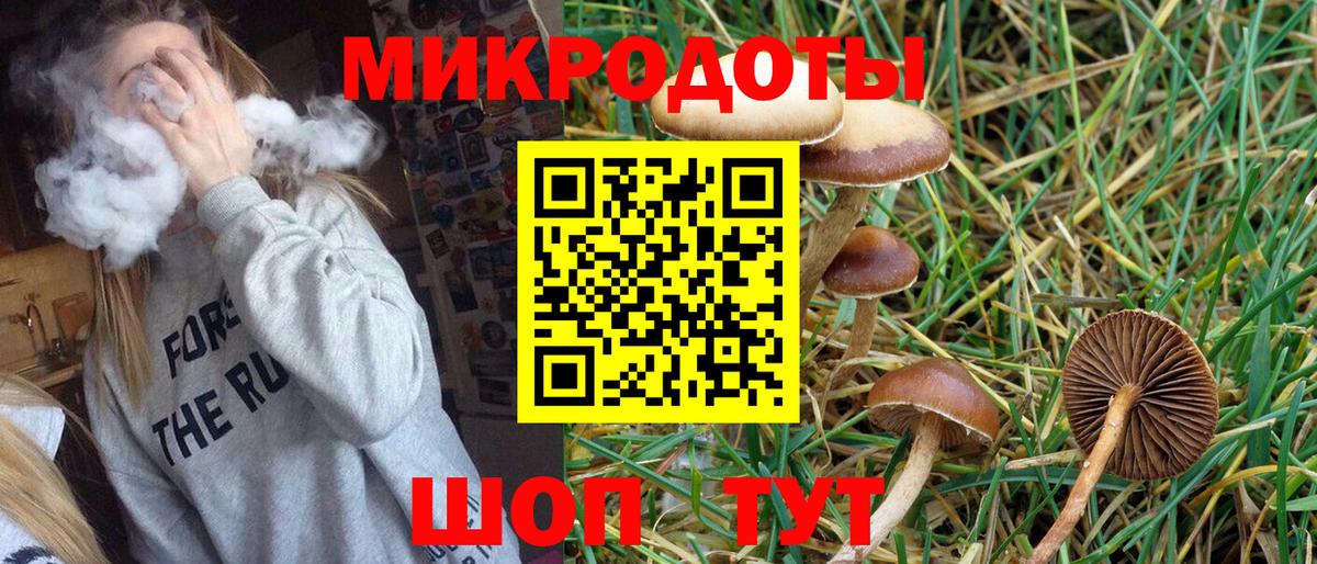Камень-на-Оби  цены   Вход с VPN  Галлюциногенные грибы мухоморы 