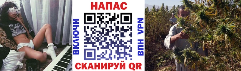 что такое   Камень-на-Оби  Каннабис планчик 
